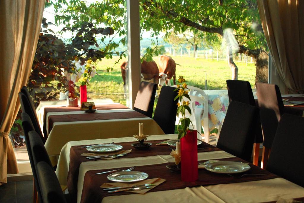 Wellnesshotel Schiesselhof Grafenhausen Habitación foto